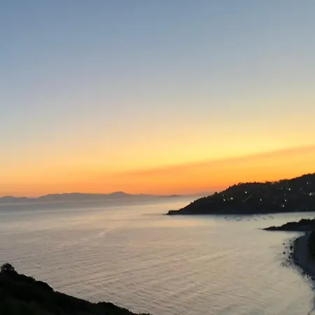 - Asfodelo Cagliari